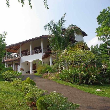 Shiny Hill Side Villa Hikkaduwa Exterior foto