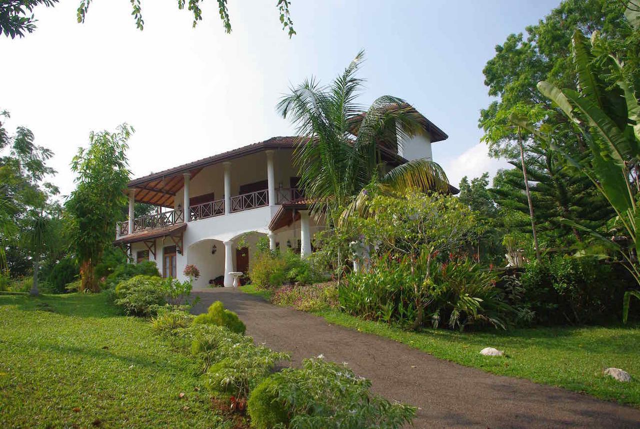 Shiny Hill Side Villa Hikkaduwa Exterior foto